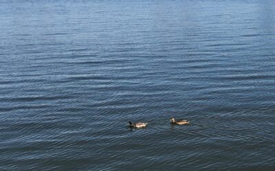 Are you seeing the Bigger Picture?